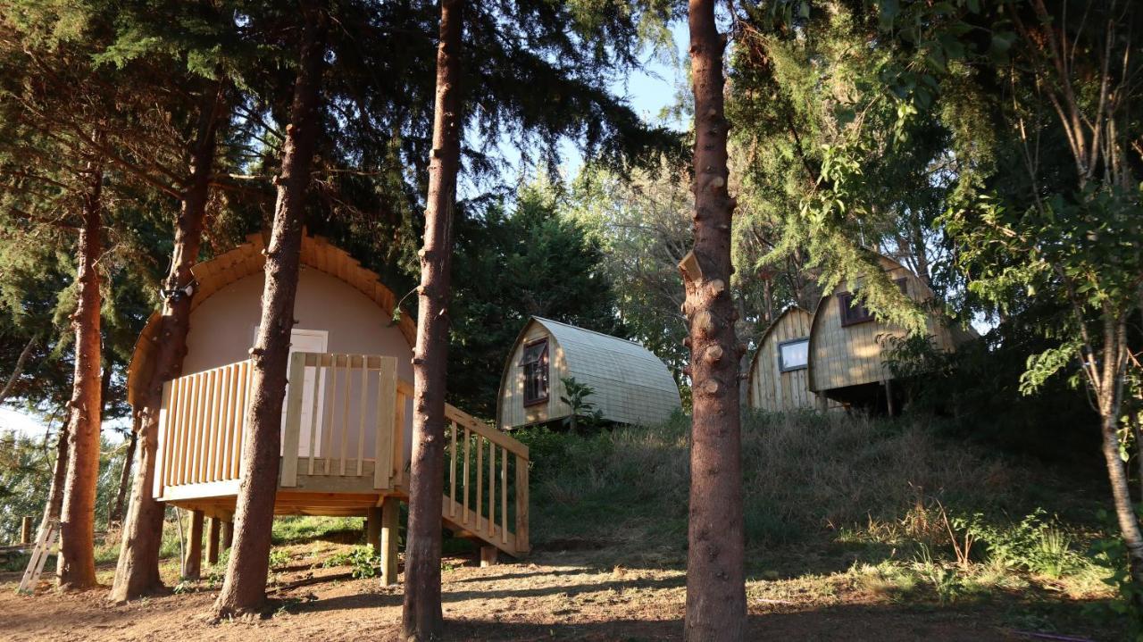 Hamilton Golf Lodge Exterior photo